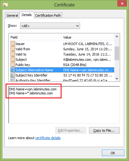 wildcard-certificate-generation-for-asa-lab-minutes