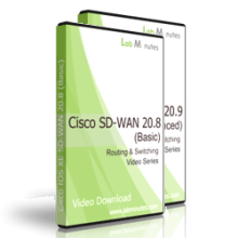 220px x 220px - Cisco SD-WAN 20.x Video Package | Lab Minutes
